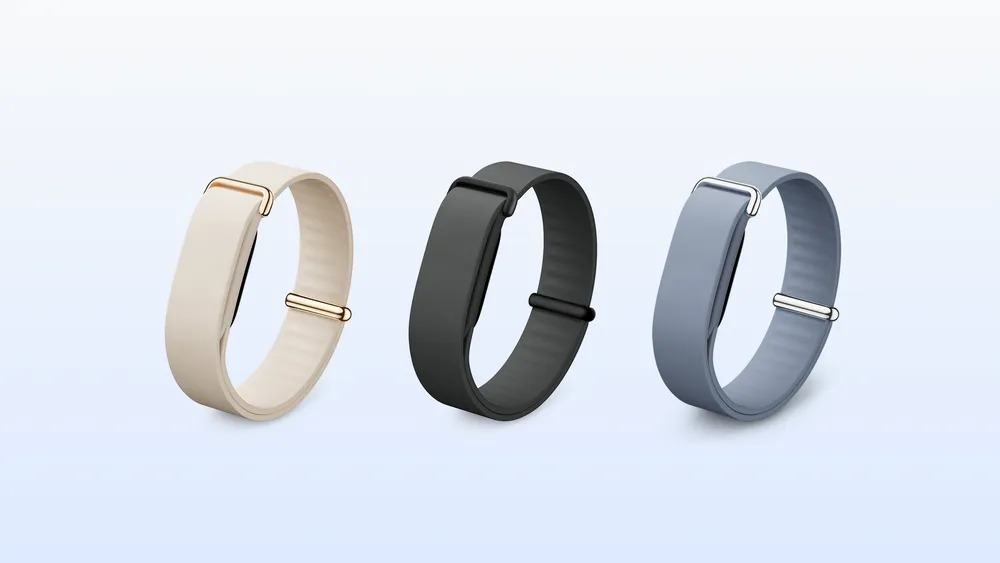 Google Fitbit Air Elevated Loop bandje